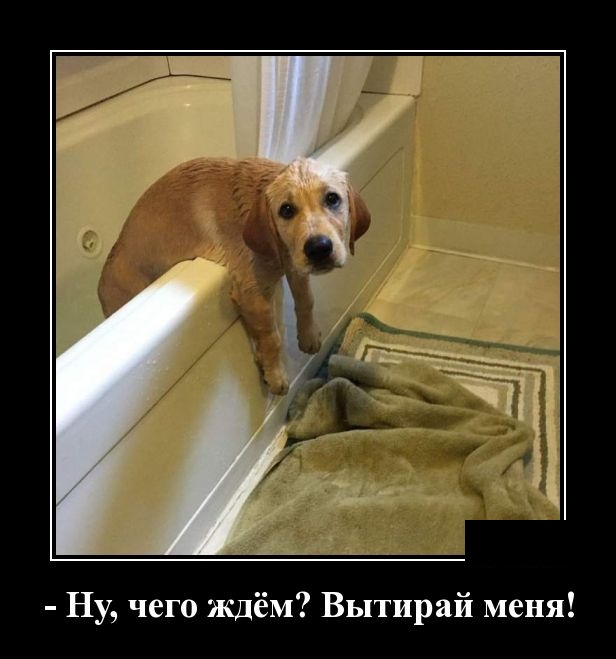 Демотиваторы (30 фото)