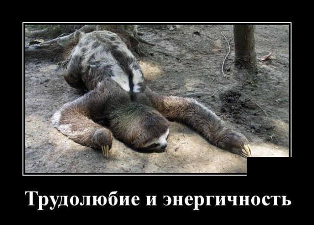 Демотиваторы (30 фото)