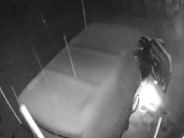 Незваный гость открыл двери в машине во время снегопада