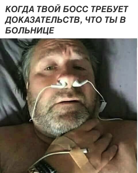 Подборка картинок. Дневной выпуск (24 фото)