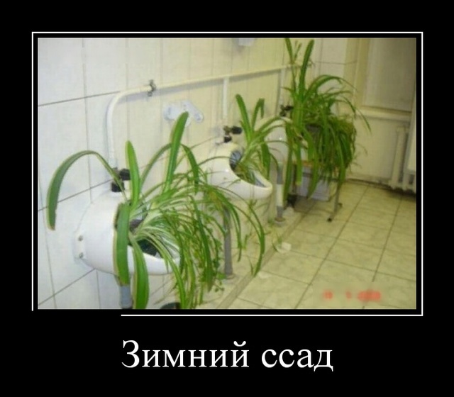 Демотиваторы (30 фото) Демотиваторы (30 фото)
