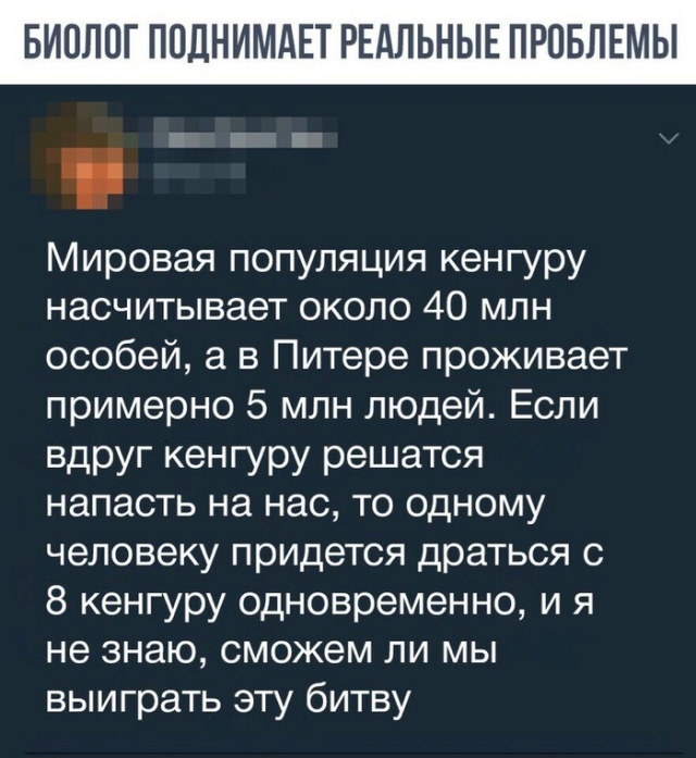 Подборка картинок. Дневной выпуск (20 фото)