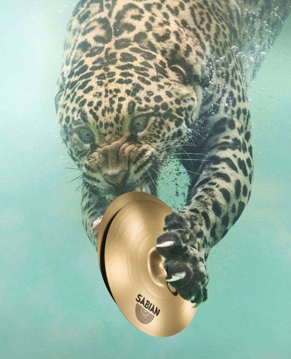 Фотожабы на леопарда, нырнувшего в воду (14 фото)