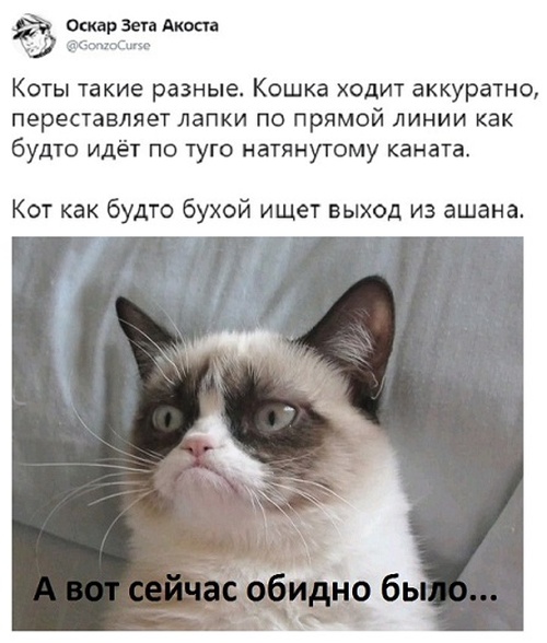 Забавные комментарии и высказывания из соцсетей (25 скриншотов)