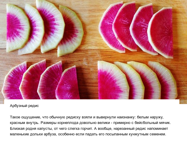 Странные овощи и необычные плоды, которые вас точно удивят (13 фото)