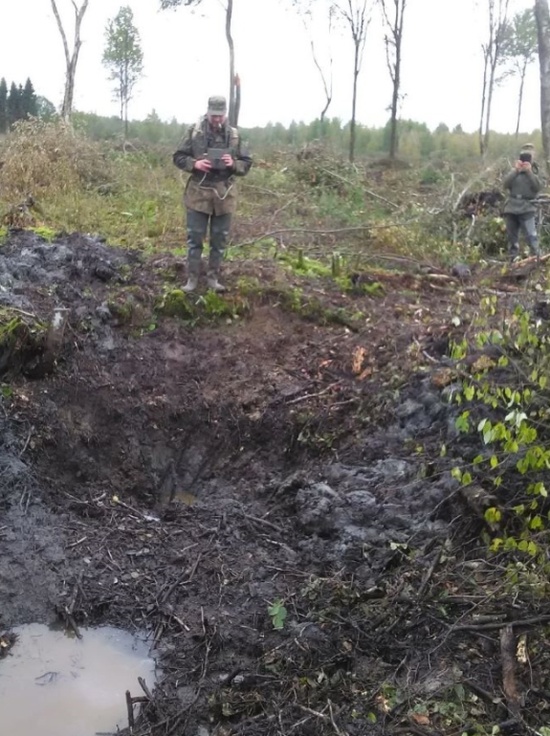 Обломки сбитого советского Ил-2 извлекли из земли в Эстонии (11 фото)