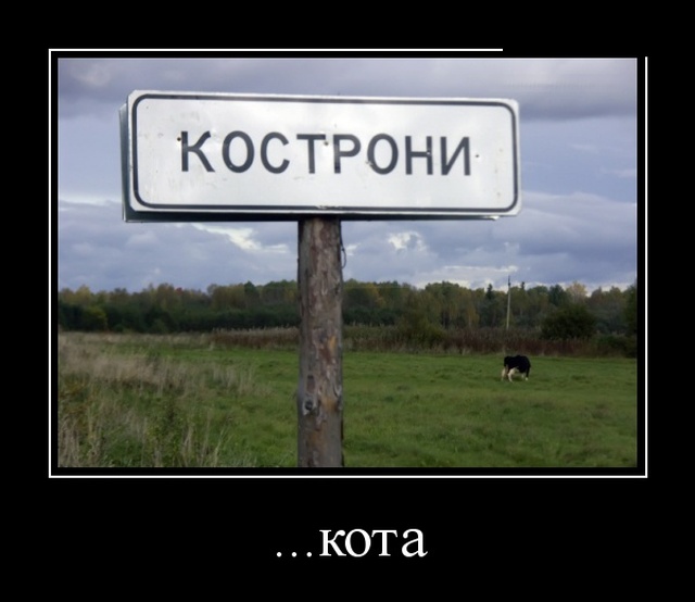 Демотиваторы (30 фото)