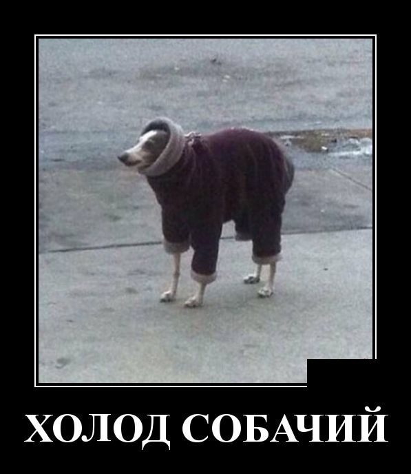 Демотиваторы (30 фото)