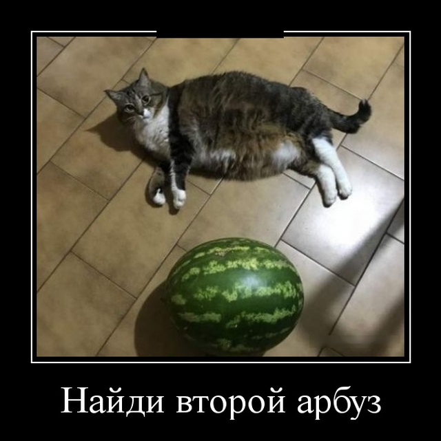 Демотиваторы (30 фото)