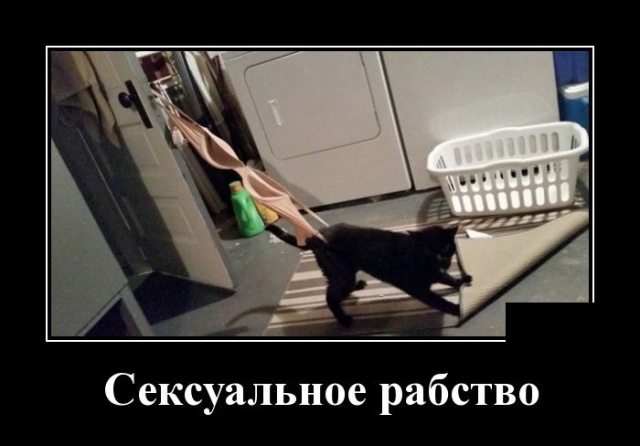 Демотиваторы (30 фото)