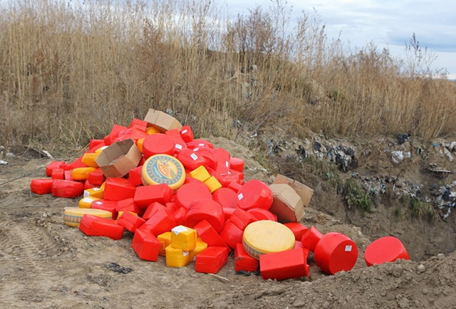 В Красноярске уничтожили 1,5 тонны голландского сыра (2 фото + видео)