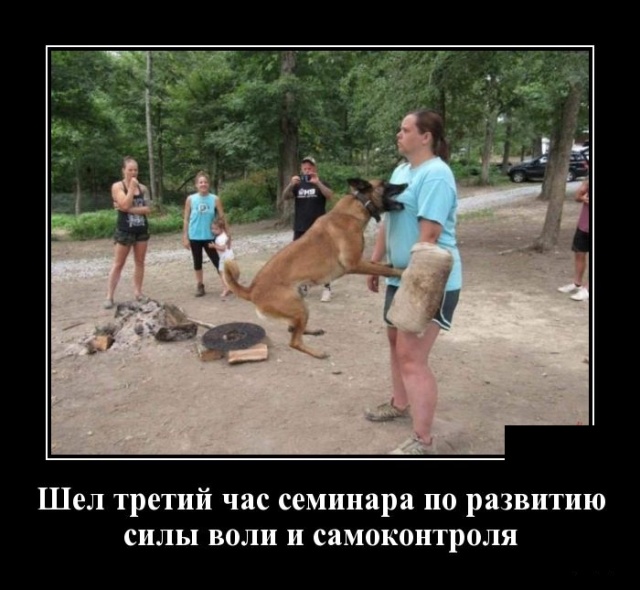 Демотиваторы (30 фото)