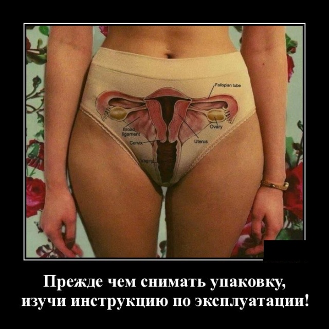 Демотиваторы (30 фото)