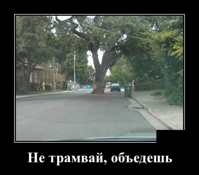 Демотиваторы (30 фото)