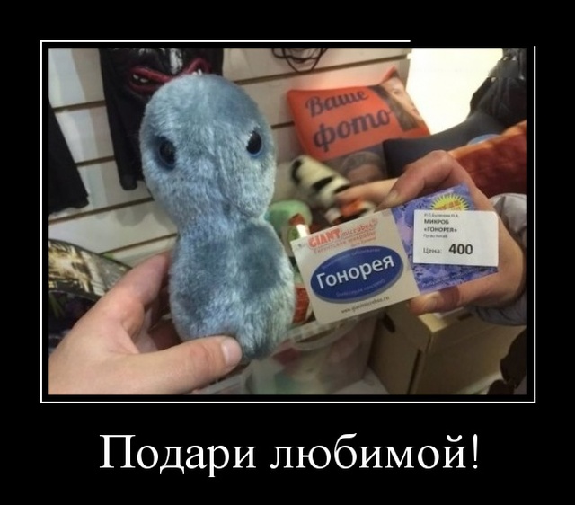 Демотиваторы (30 фото)