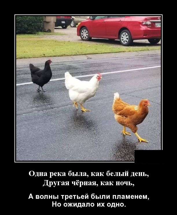 Демотиваторы (30 фото)