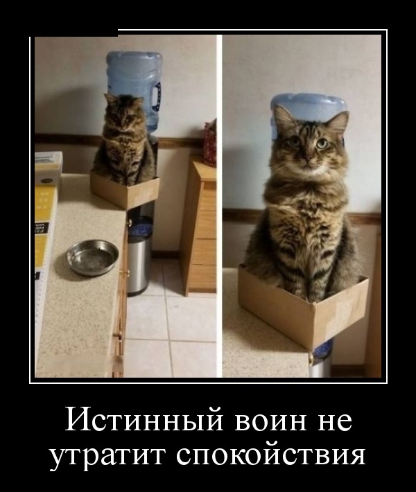 Демотиваторы (30 фото)