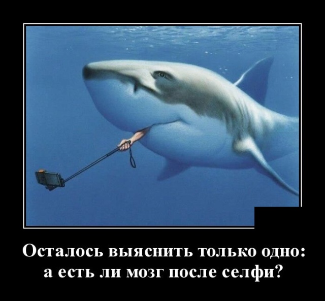 Демотиваторы (30 фото)