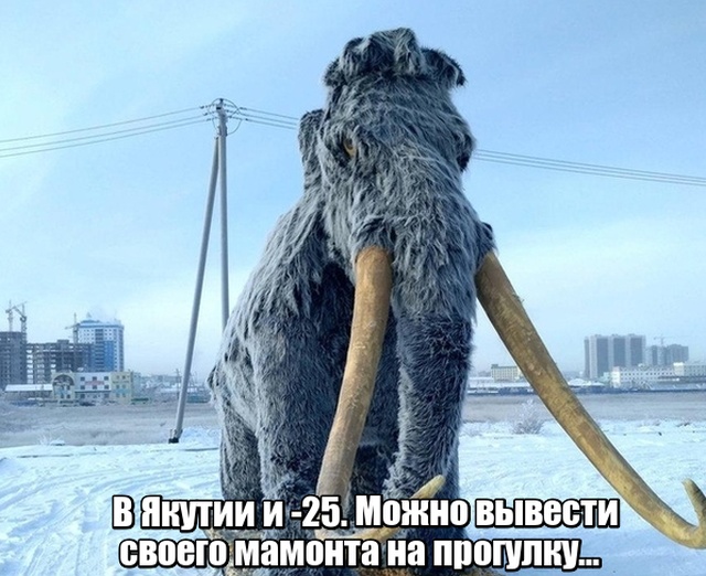 Подборка картинок. Вечерний выпуск (22 фото)