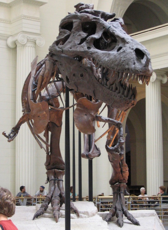 Сколько стоят динозавры в наши дни? (10 фото)