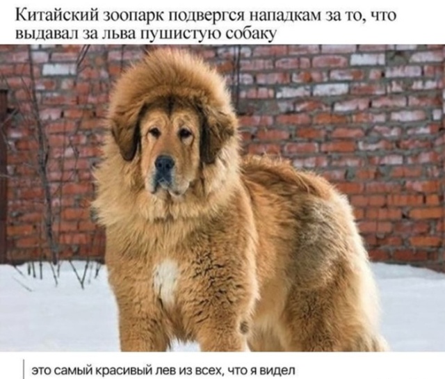 Подборка картинок. Вечерний выпуск (20 фото)