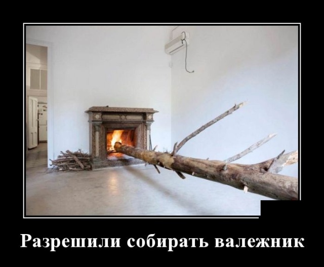 Демотиваторы (30 фото)