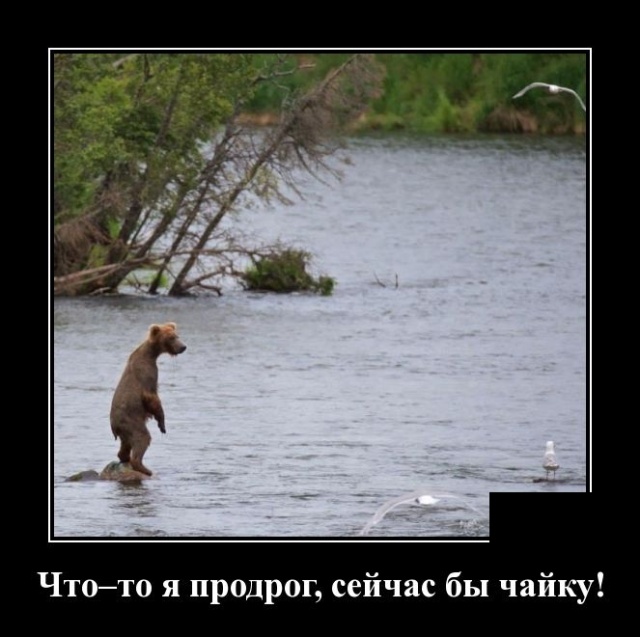 Демотиваторы (30 фото)