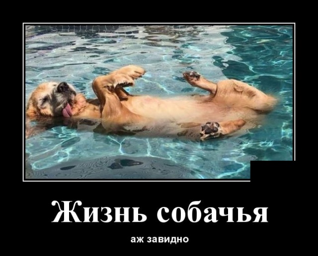 Демотиваторы (30 фото)