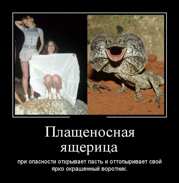 Демотиваторы (30 фото)