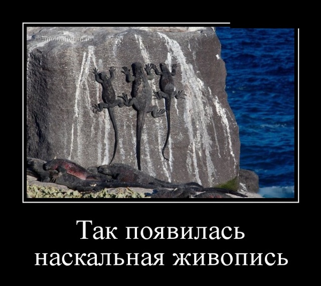Демотиваторы (30 фото)