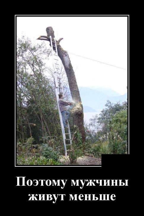 Демотиваторы (30 фото)