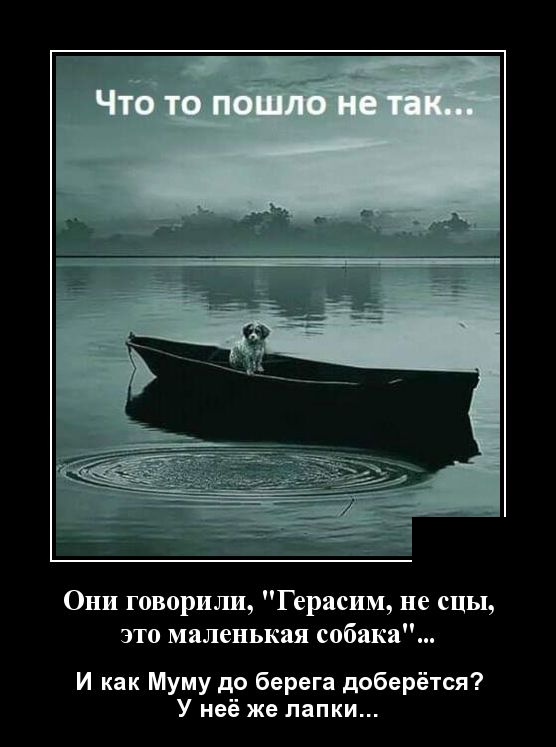 Демотиваторы (30 фото)