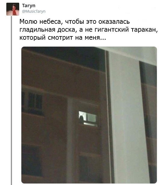 Подборка картинок. Вечерний выпуск (23 фото)