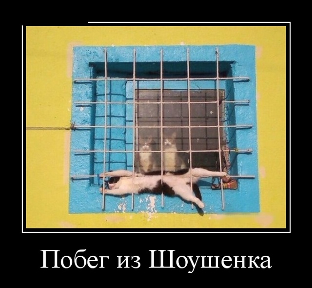 Демотиваторы (30 фото)