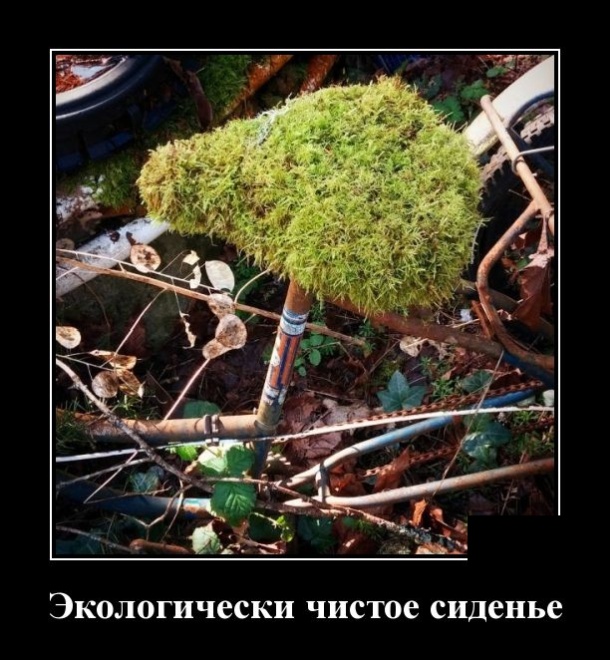 Демотиваторы (30 фото)
