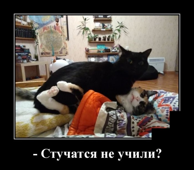 Демотиваторы (30 фото)