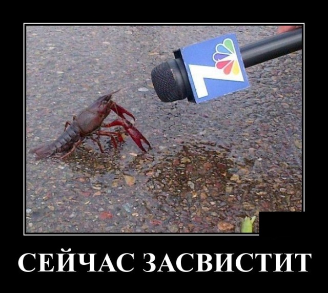 Демотиваторы (30 фото)