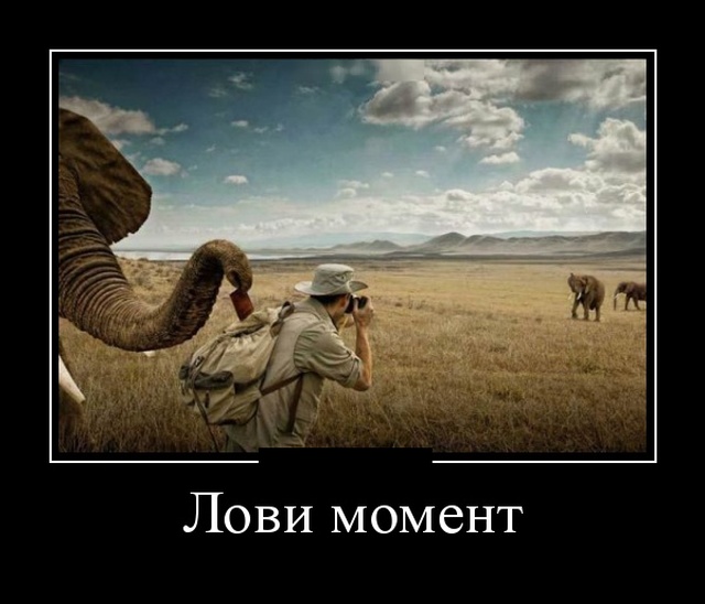 Демотиваторы (30 фото)