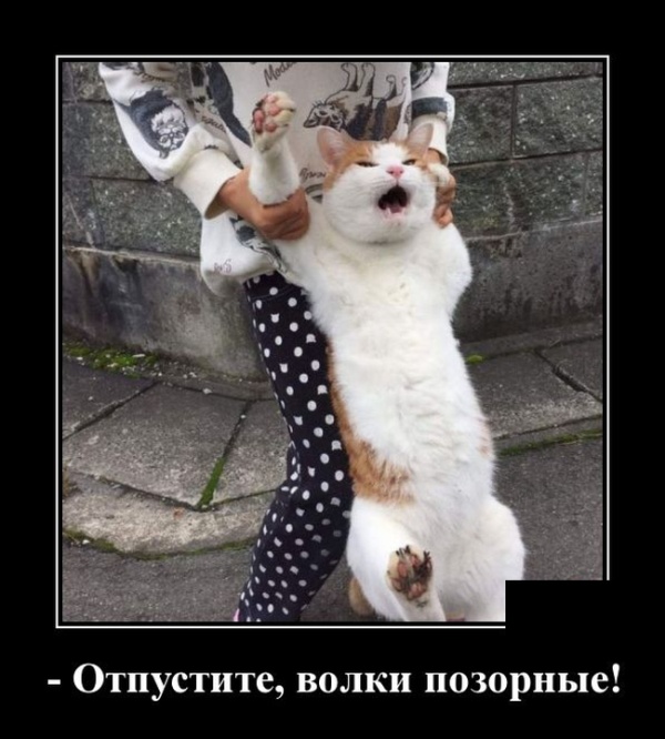 Демотиваторы (30 фото)
