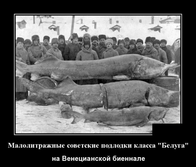 Демотиваторы (30 фото)