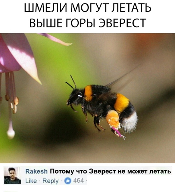 Подборка картинок. Вечерний выпуск (23 фото)