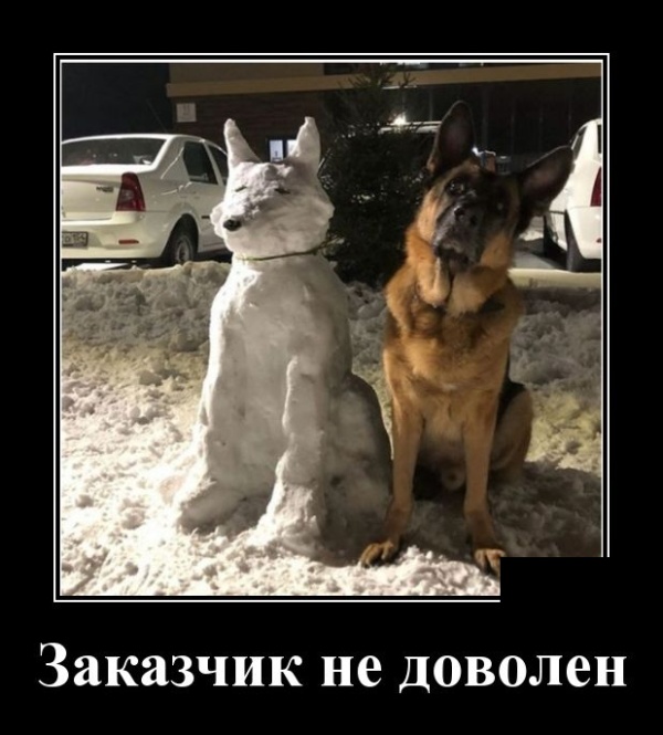 Демотиваторы (30 фото)