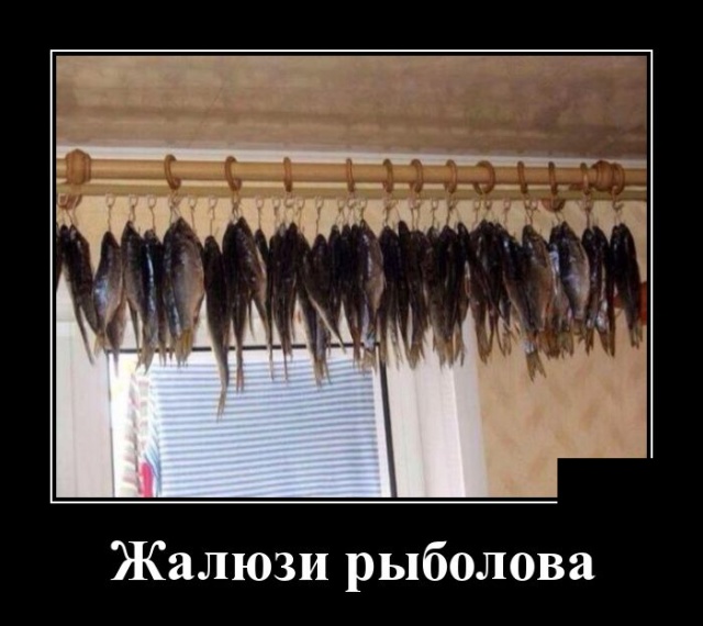 Демотиваторы (30 фото)