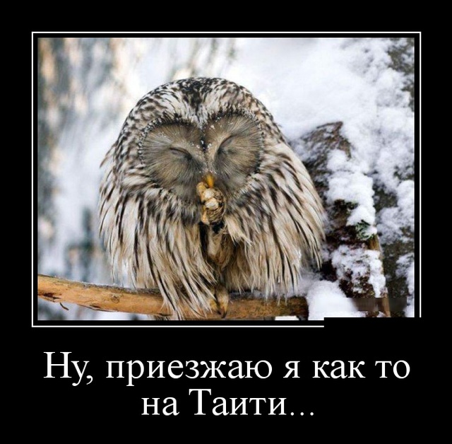 Демотиваторы (30 фото)