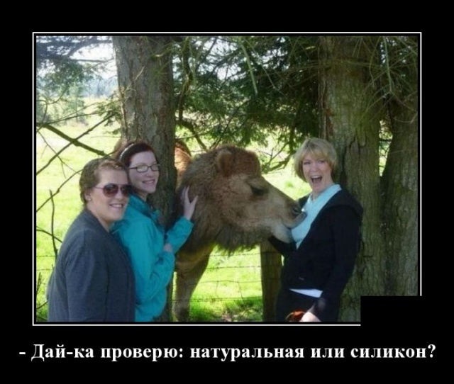 Демотиваторы (30 фото)