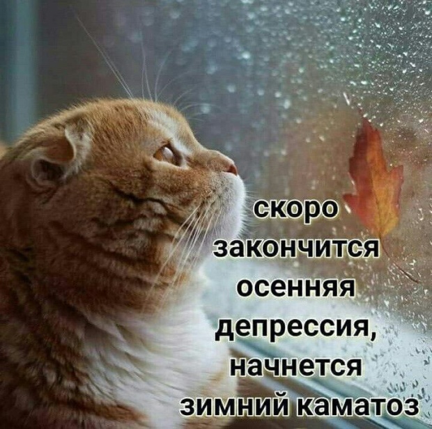 Подборка картинок. Дневной выпуск (20 фото)