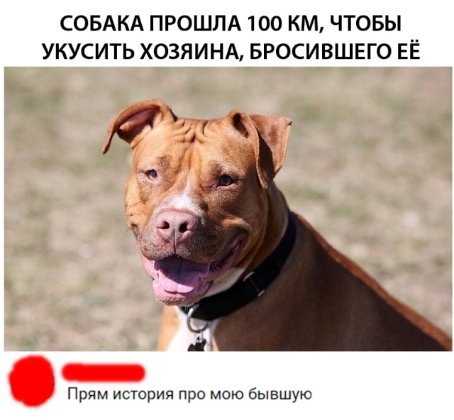 Подборка картинок. Вечерний выпуск (25 фото)