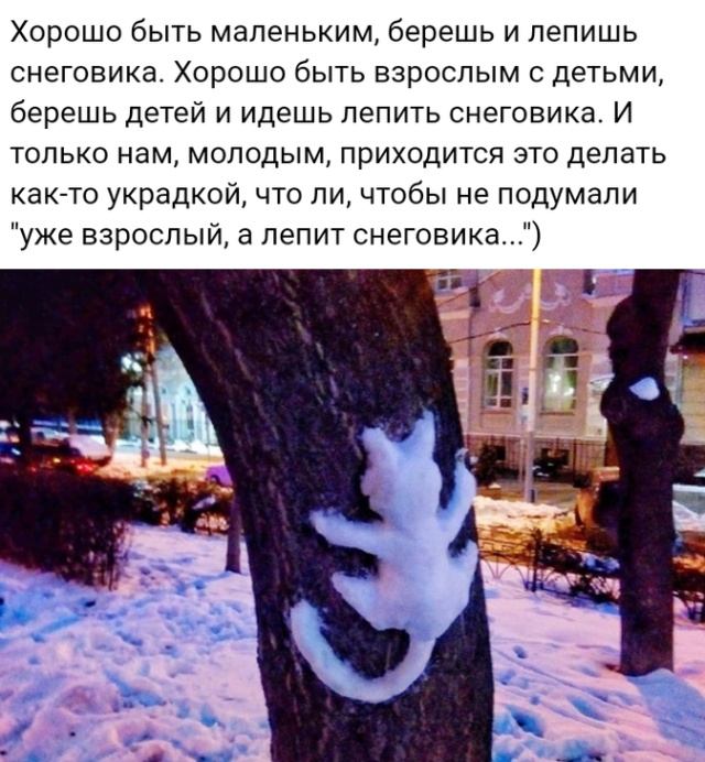 Подборка картинок. Вечерний выпуск (20 фото)