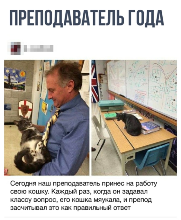 Подборка картинок. Вечерний выпуск (20 фото)