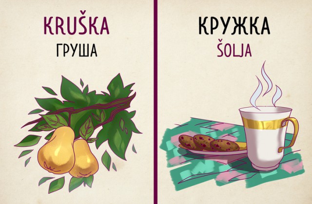 Почему сербский язык способен удивить русскоязычного туриста (19 картинок)